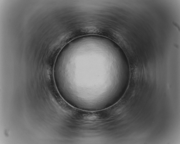 X0000103500643200809191946