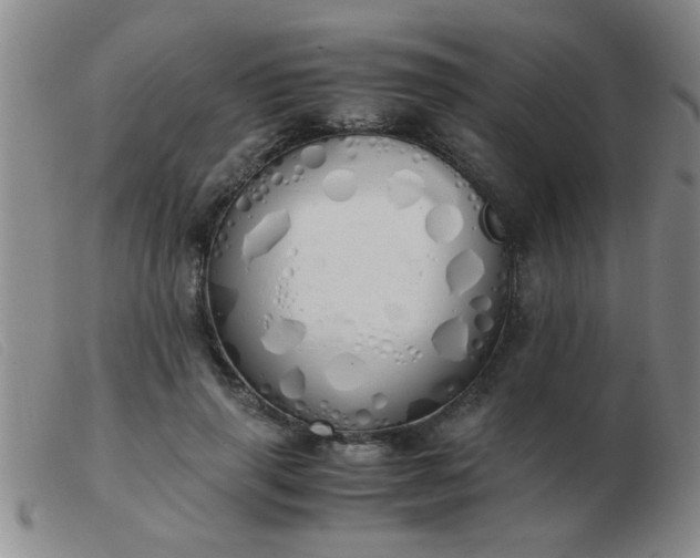 X0000103500645200809191946