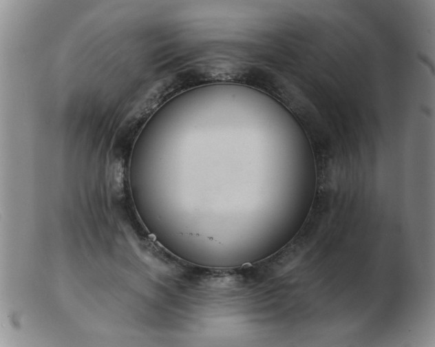 X0000103500646200809191946