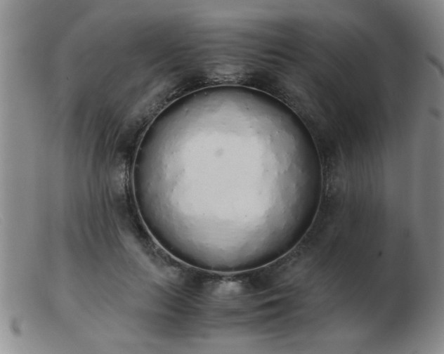 X0000103500647200809191946