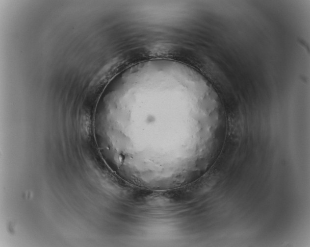 X0000103500648200809191946