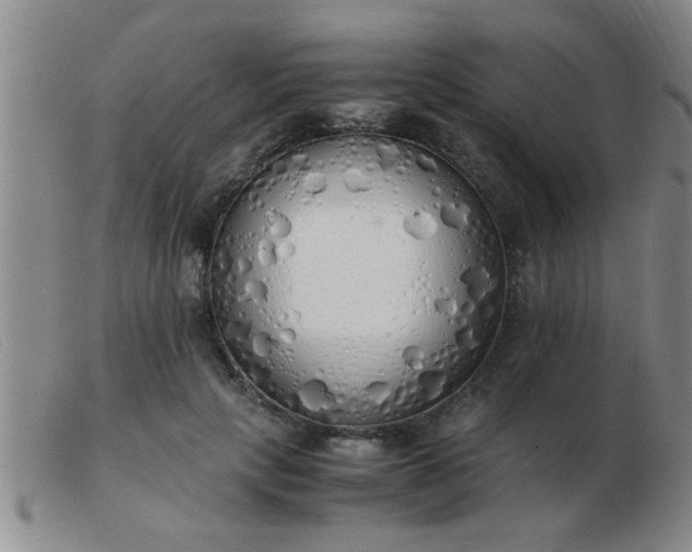 X0000103500649200809191946