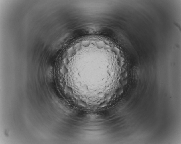 X0000103500650200809191946