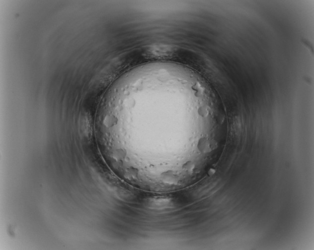 X0000103500651200809191946