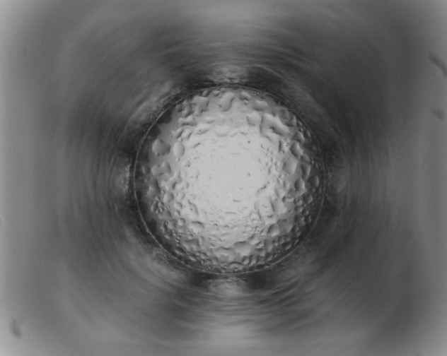 X0000103500652200809191946