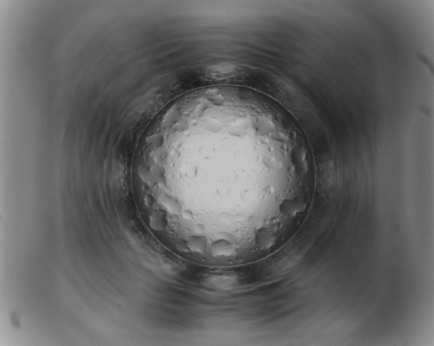 X0000103500653200809191946