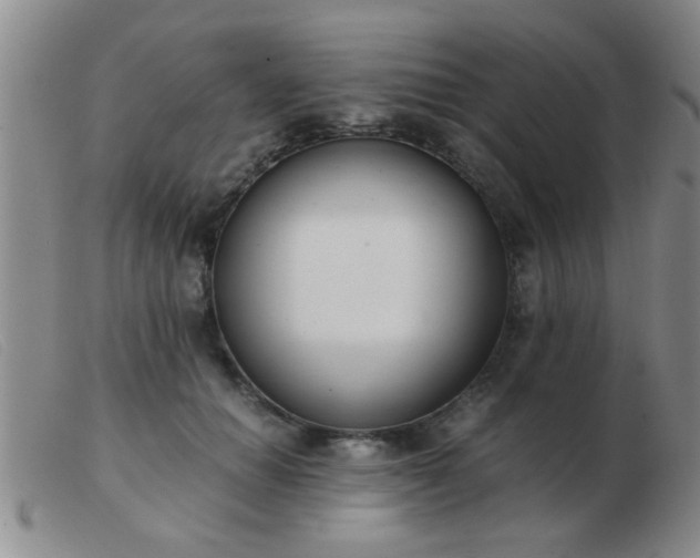 X0000103500654200809191946