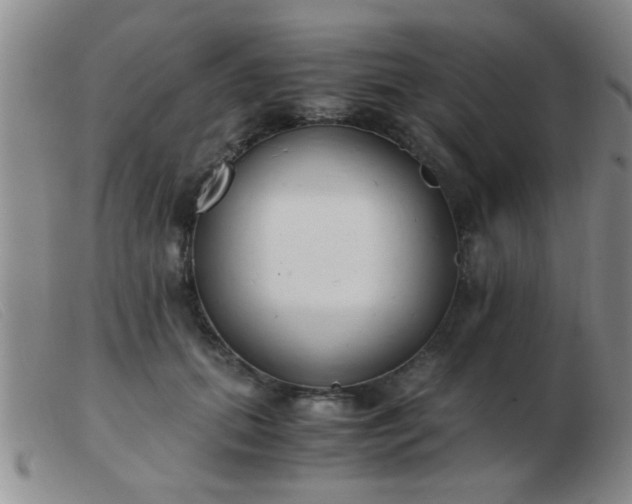 X0000103500655200809191946