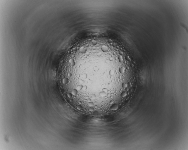 X0000103500657200809191946