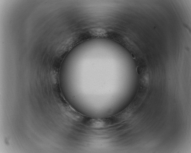 X0000103500658200809191946