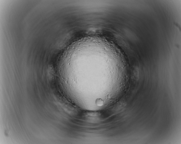 X0000103500659200809191946