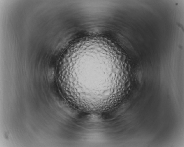 X0000103500660200809191946