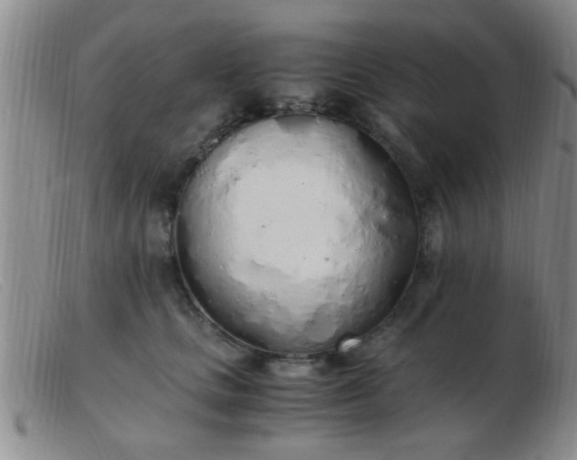 X0000103500661200809191946