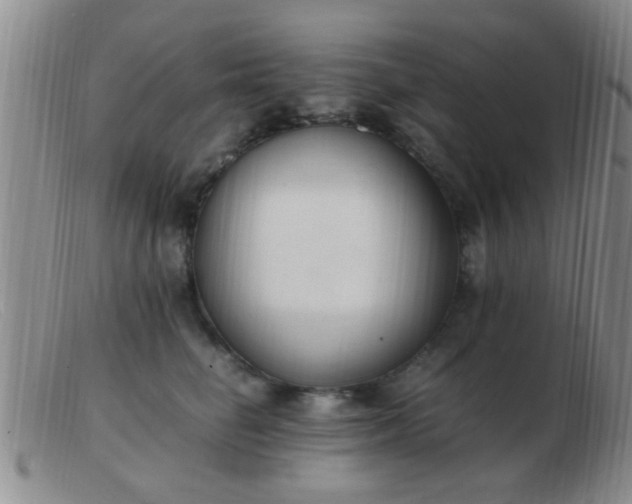 X0000103500662200809191946