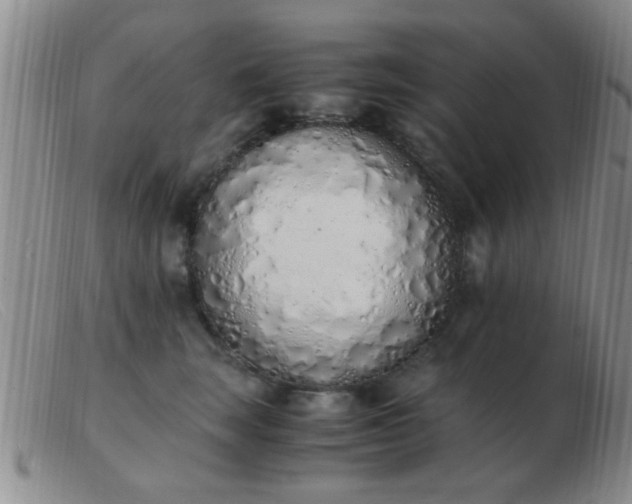 X0000103500663200809191946