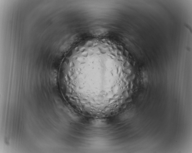 X0000103500664200809191946