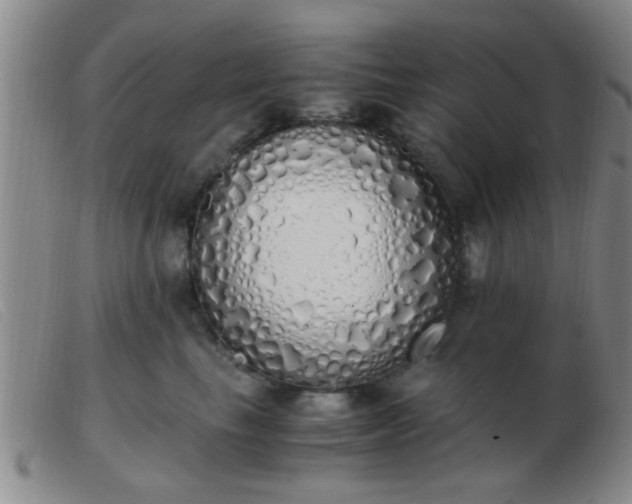 X0000103500665200809191946