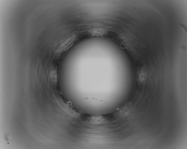 X0000103500666200809191946