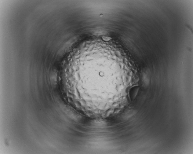 X0000103500668200809191947