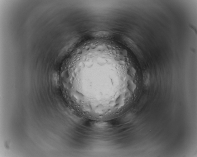 X0000103500669200809191947