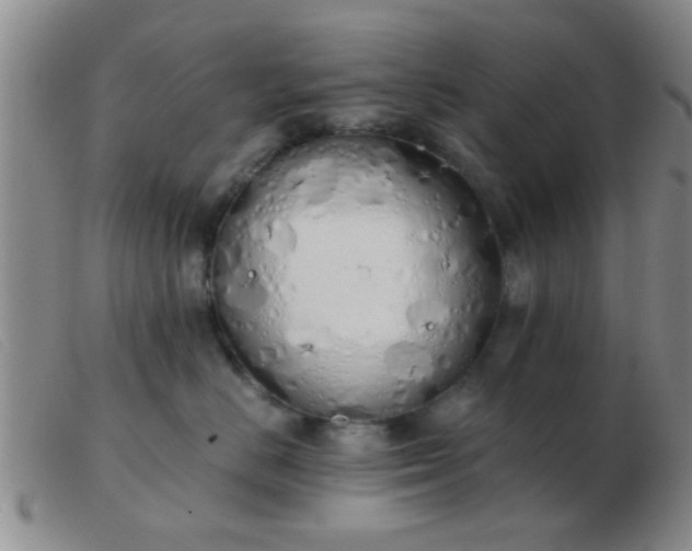 X0000103500670200809191947