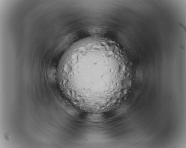 X0000103500671200809191947