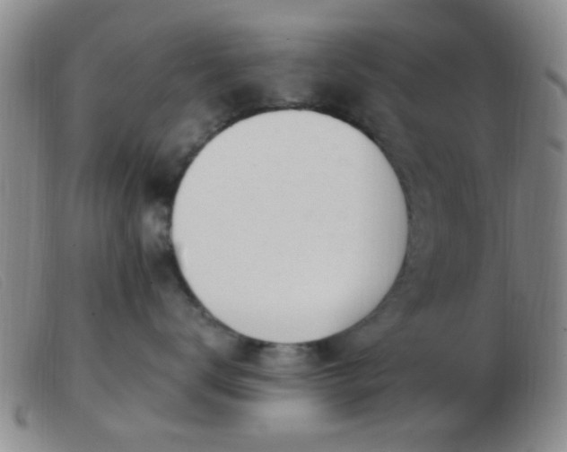 X0000103500672200809191947