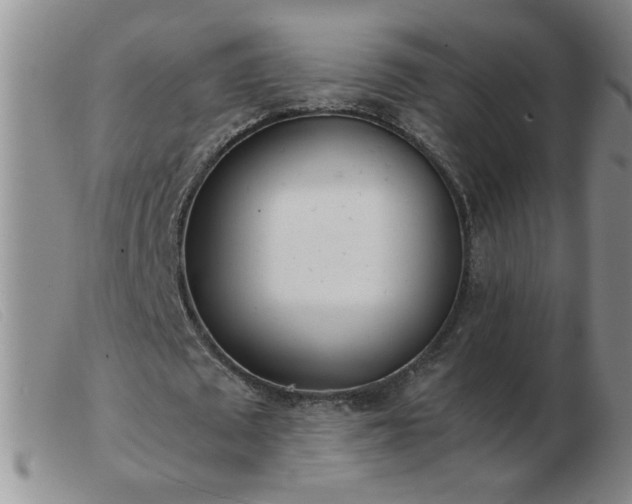 X0000103500673200809191946