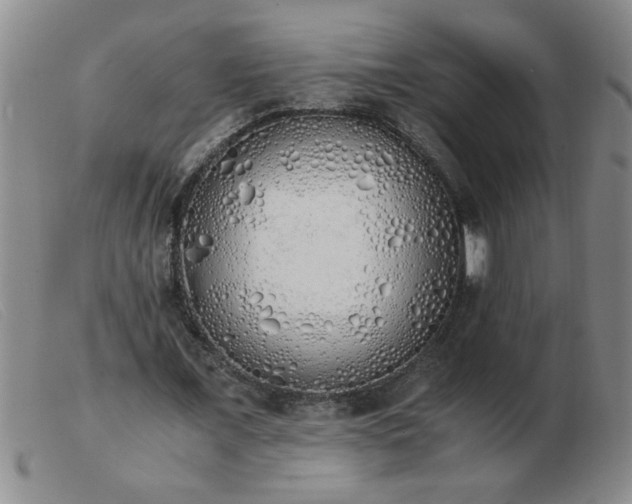 X0000103500675200809191946