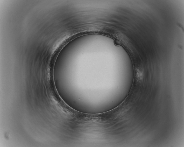 X0000103500676200809191946