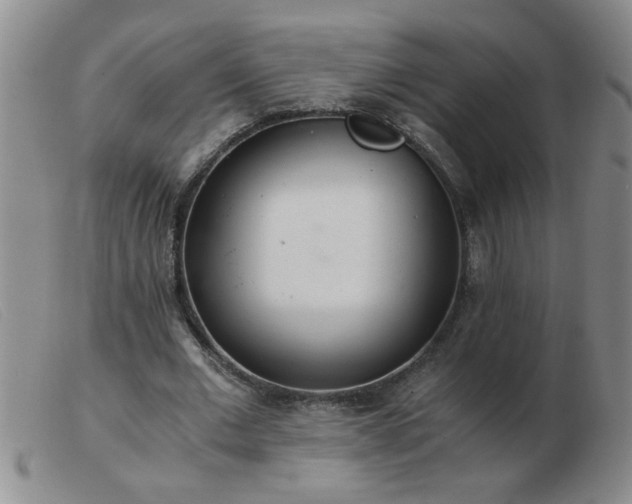 X0000103500677200809191946