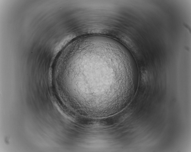 X0000103500678200809191946