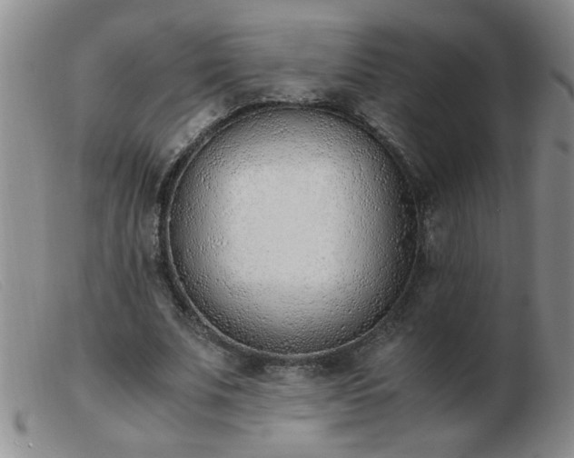 X0000103500679200809191946