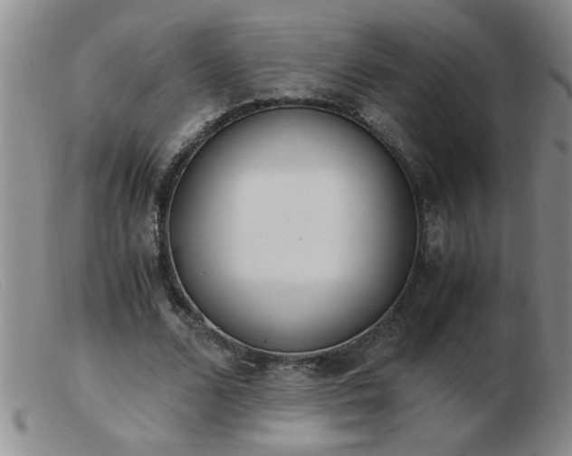 X0000103500680200809191946