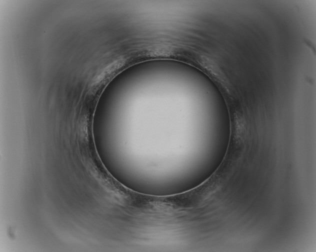 X0000103500681200809191946