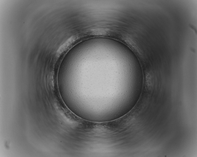 X0000103500682200809191946