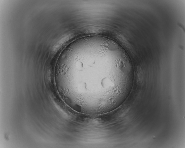 X0000103500683200809191946