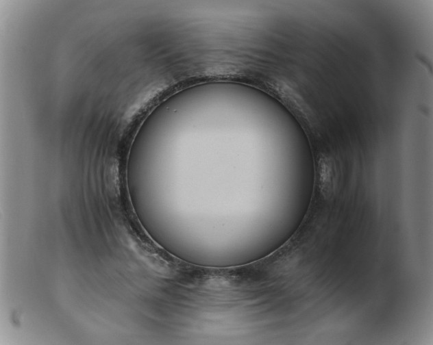 X0000103500684200809191946