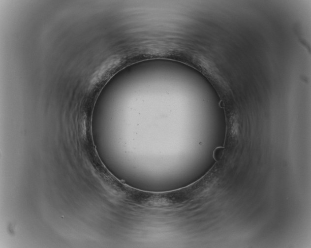 X0000103500685200809191946