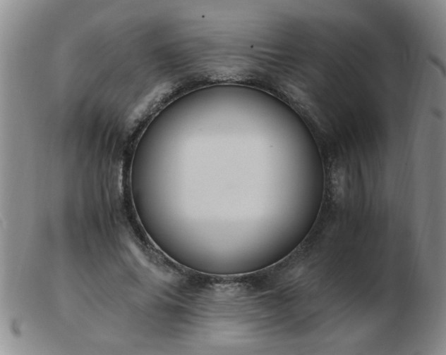 X0000103500686200809191946