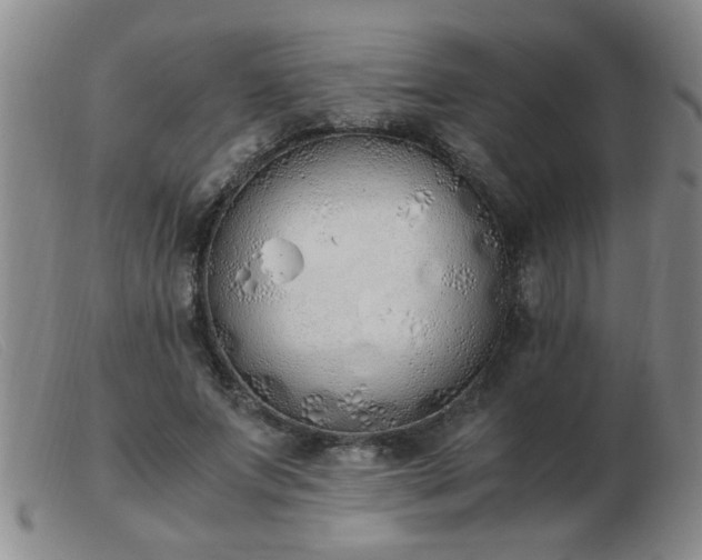 X0000103500687200809191946