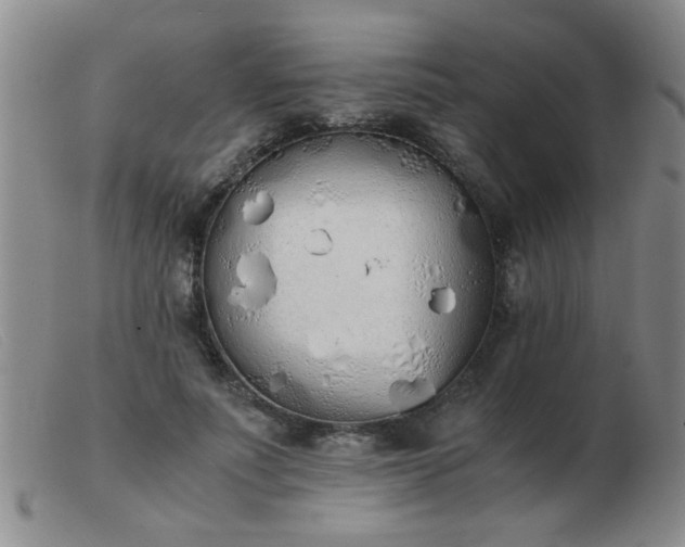 X0000103500691200809191946