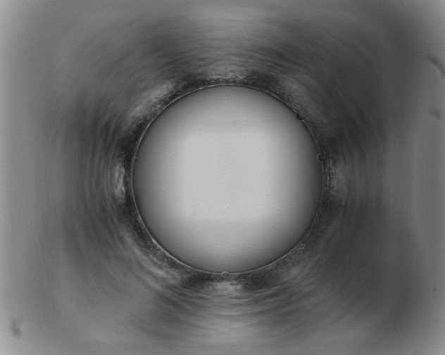 X0000103500692200809191946