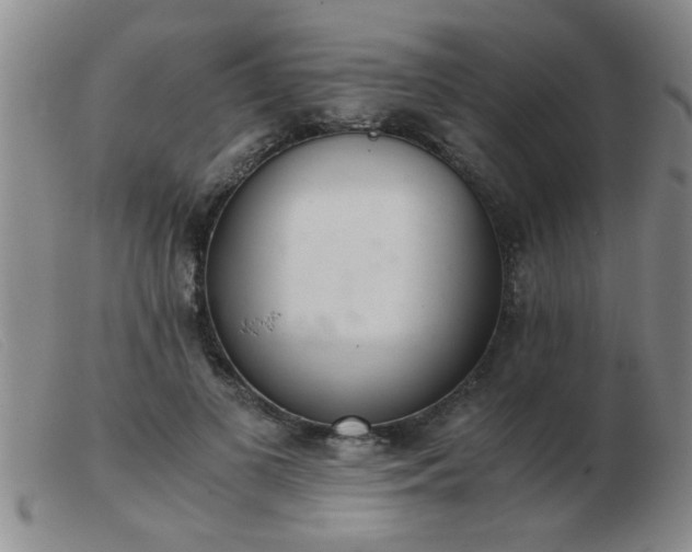 X0000103500693200809191946