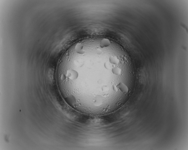 X0000103500695200809191946