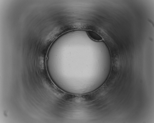 X0000103500696200809191946