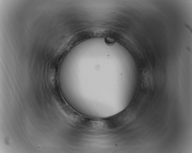 X0000103500698200809191946