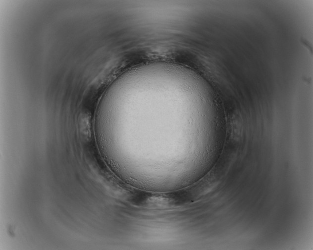 X0000103500699200809191946