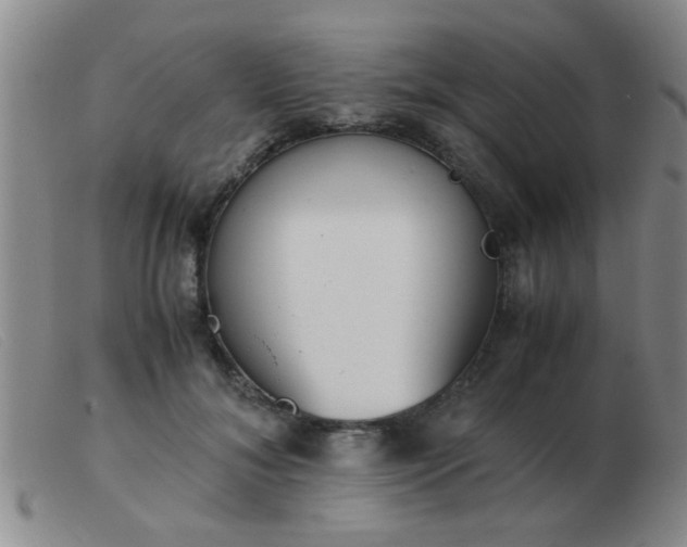 X0000103500700200809191946