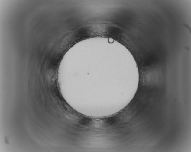 X0000103500701200809191946